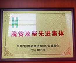 2021年脫貧攻堅先進(jìn)集體